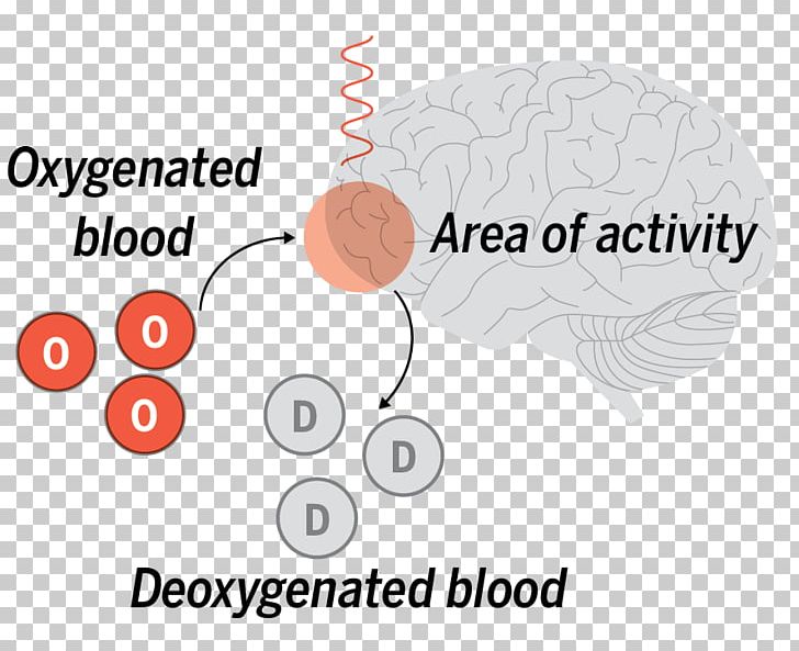 Brand Human Behavior Brain Organism PNG, Clipart, Area, Behavior, Brain, Brand, Circle Free PNG Download