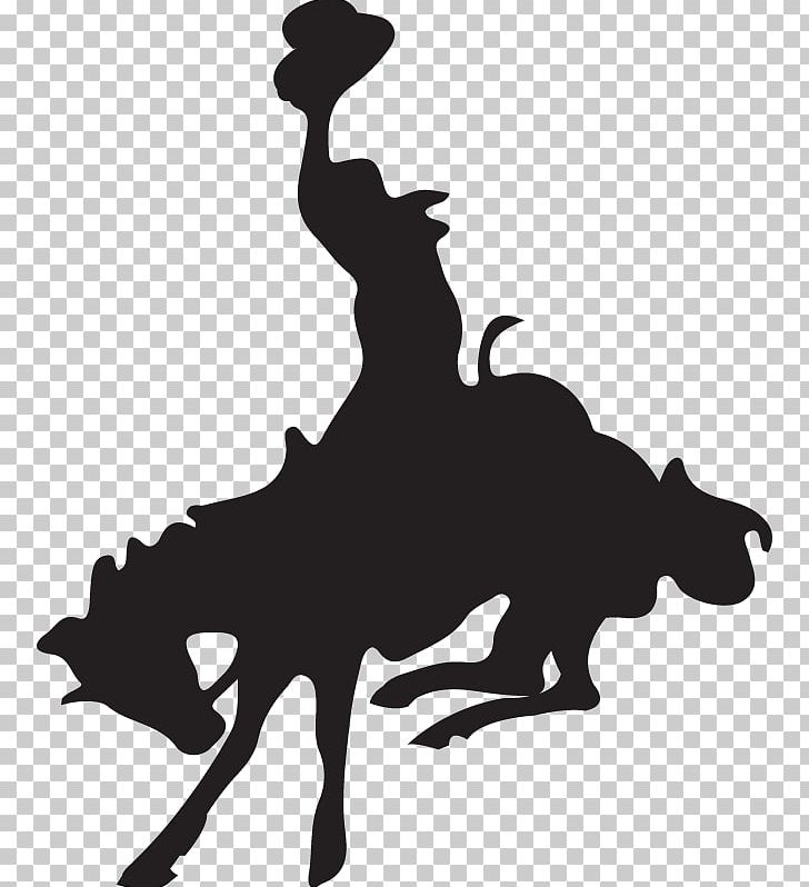 Horse Cody Night Rodeo Silhouette Black PNG, Clipart, Black, Black And White, Bucking Horse, Clip Art, Cody Free PNG Download