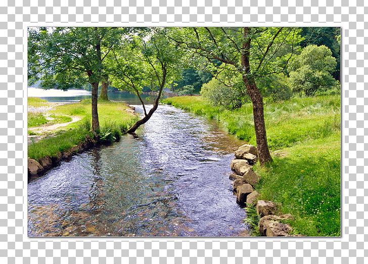 River Tributary Riparian Zone View Of A Stream PNG, Clipart, Art, Bank, Bayou, Canal, Creek Free PNG Download