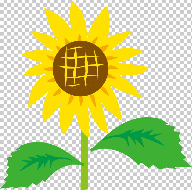 Sunflower PNG, Clipart, Cartoon, Flower, Leaf, Plant, Sunflower Free PNG Download
