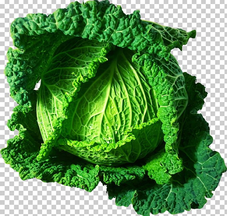 Cabbage Italian Cuisine Food Vegetable Health PNG, Clipart, Cabbage, Cabbage Soup Diet, Collard Greens, Diabetes Mellitus, Diabetic Diet Free PNG Download