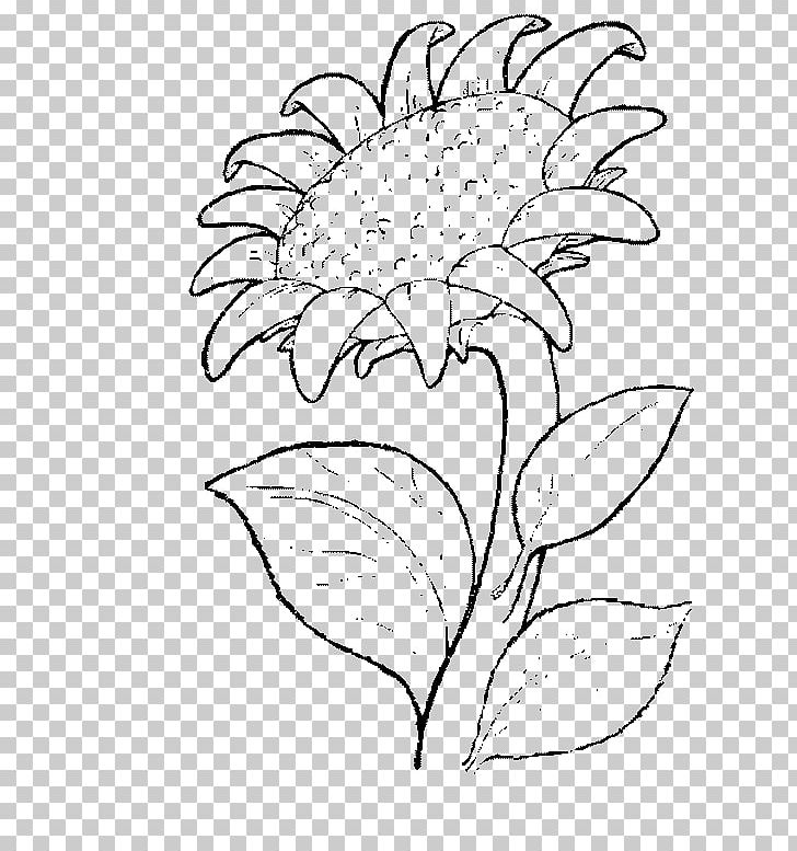 Drawing Coloring Book Common Sunflower Painting PNG, Clipart, Adult, Art, Artwork, Branch, Cars Free PNG Download