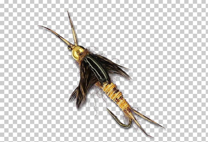 Bead Insect Artificial Fly Stoneflies Animal PNG, Clipart, Animal, Animals, Artificial Fly, Bead, Beadwork Free PNG Download