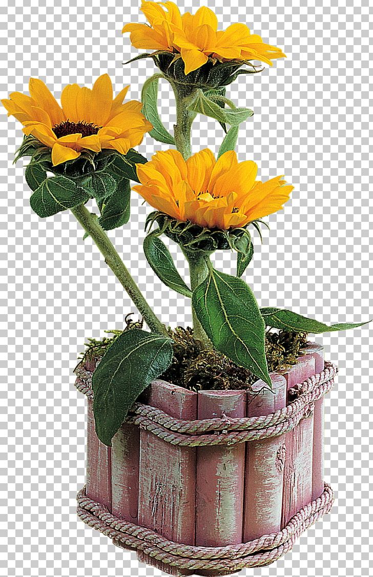 Flowerpot Vase PNG, Clipart, Common Sunflower, Cut Flowers, Floral Design, Floristry, Flower Free PNG Download