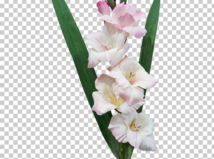 Gladiolus Cut Flowers Iridaceae Plant PNG, Clipart, Artificial Flower, Cut Flowers, Flower, Flower Bouquet, Flowering Plant Free PNG Download