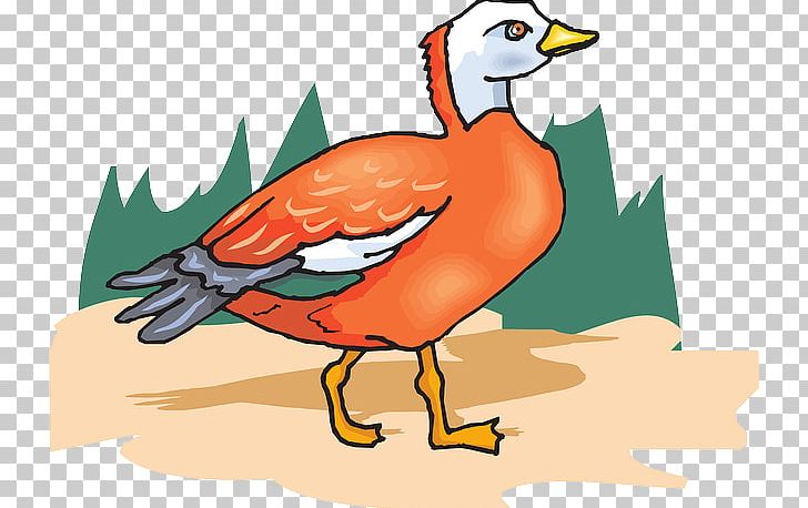 Duck Goose Bird PNG, Clipart, Animals, Animation, Art, Beak, Bird Free PNG Download
