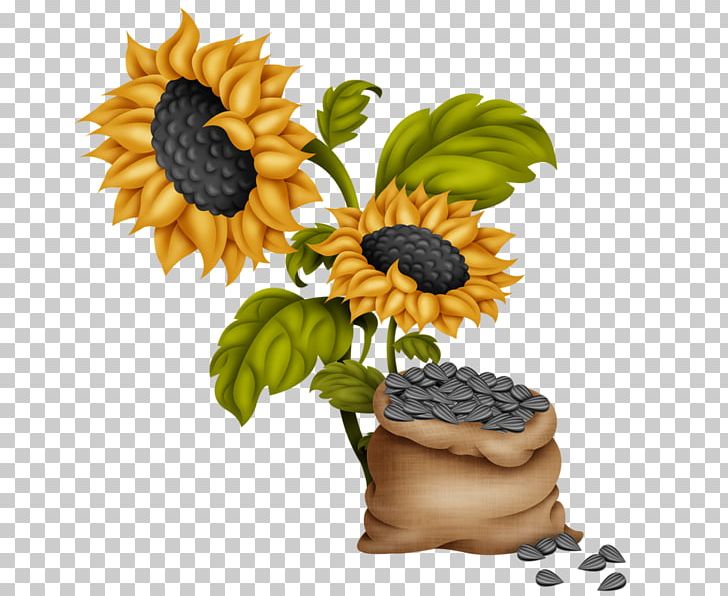 Flower Digital Scrapbooking PNG, Clipart, Common Sunflower, Daisy Family, Digital Scrapbooking, Dots Per Inch, Download Free PNG Download