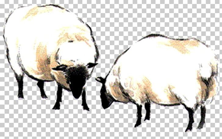 Sheep Black And White Computer File PNG, Clipart, Adobe Illustrator, Animals, Black, Black And White, Cartoon Sheep Free PNG Download