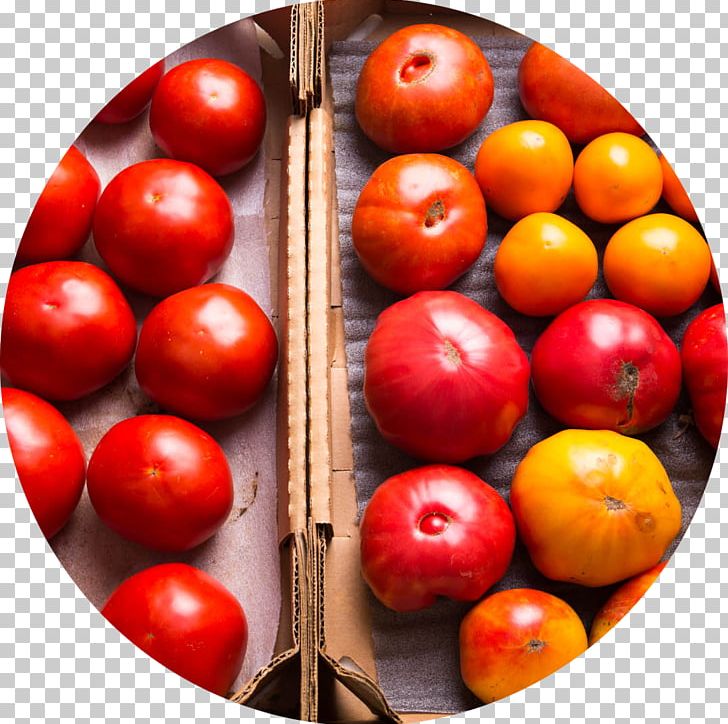 Tomato Refrigerator Wrap Flavr Savr Food PNG, Clipart, Flavor, Flavr Savr, Food, Food Preservation, Fruit Free PNG Download