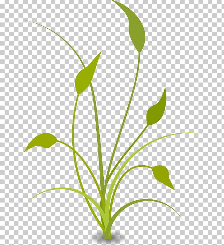 Free Content Nature PNG, Clipart, Blog, Branch, Clipart, Clip Art, Commodity Free PNG Download