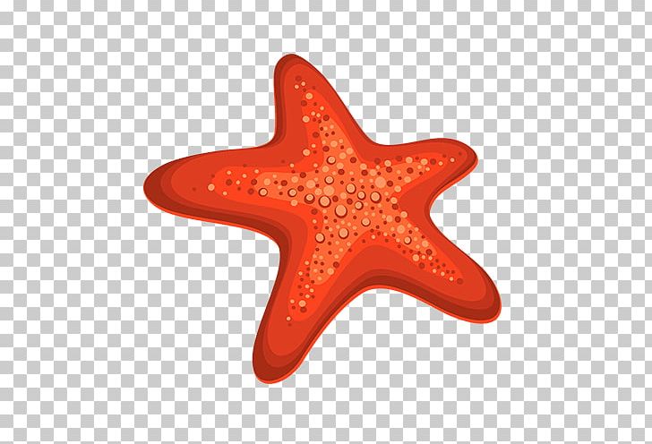 Starfish PNG, Clipart, Animals, Cartoon, Computer Software, Data, Download Free PNG Download