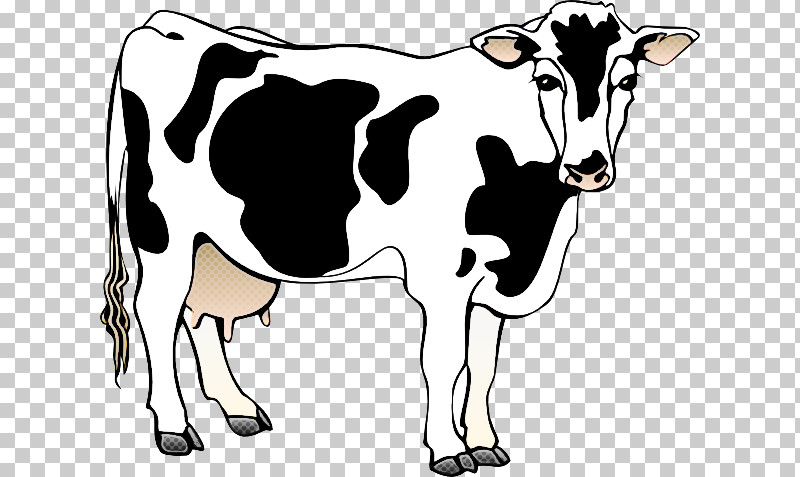 Murrah Buffalo Holstein Friesian Cattle Dairy Cattle Sound Effect Heifer  PNG, Clipart, Dairy, Dairy Cattle, Dairy