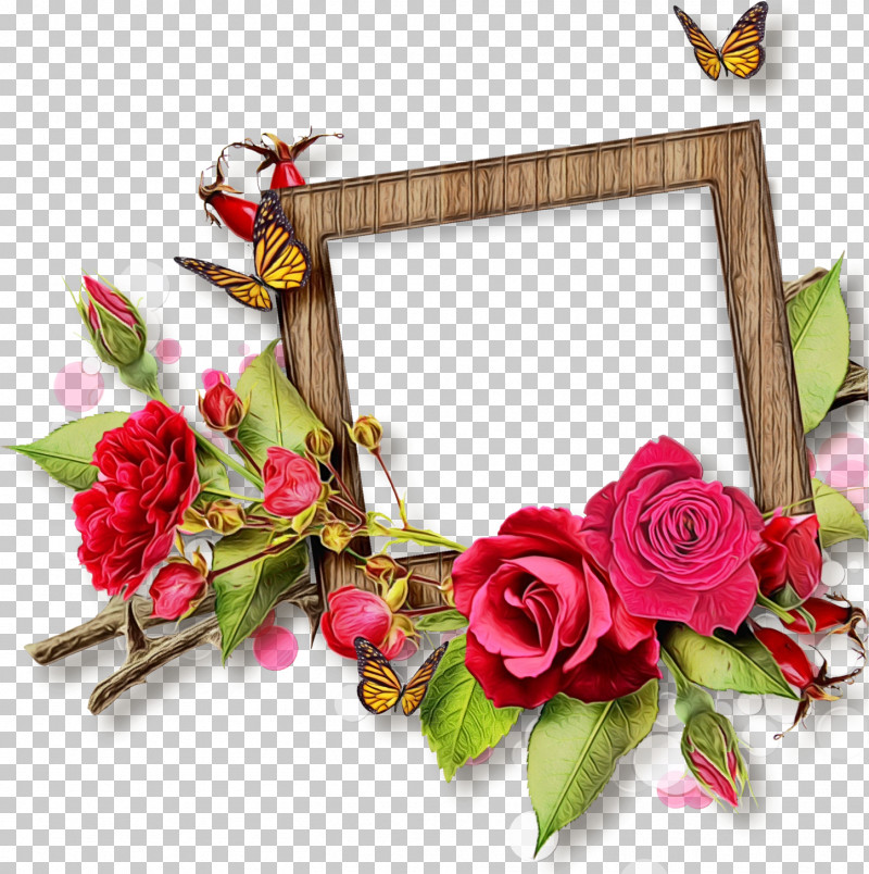 Picture Frame PNG, Clipart, Collage, Family Picture Frame, Family Tree Photo Frame, Flower, Paint Free PNG Download