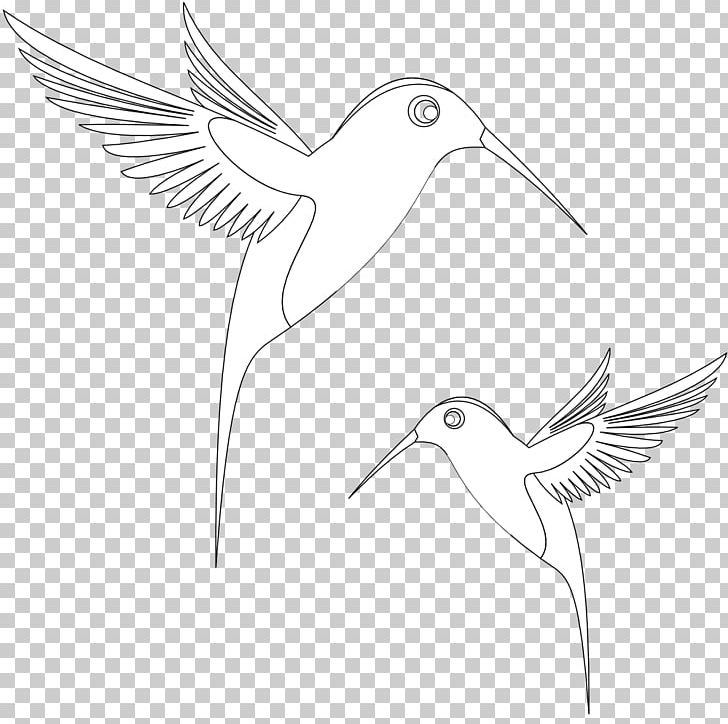 Black And White Inkscape Line Art PNG, Clipart, Artwork, Beak, Bird, Black And White, Colibri Free PNG Download