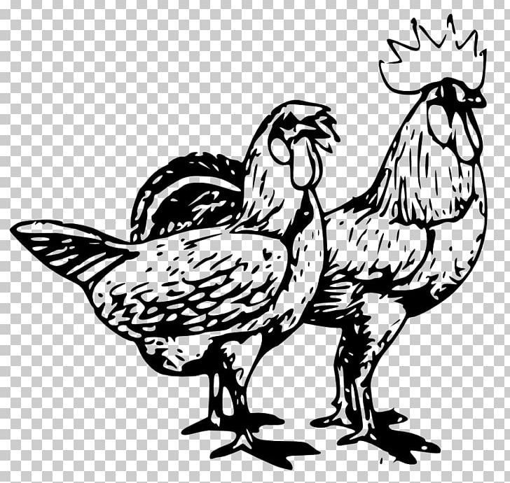 Chicken Poultry Farming PNG, Clipart, Art, Beak, Bird, Black And White, Chicken Free PNG Download
