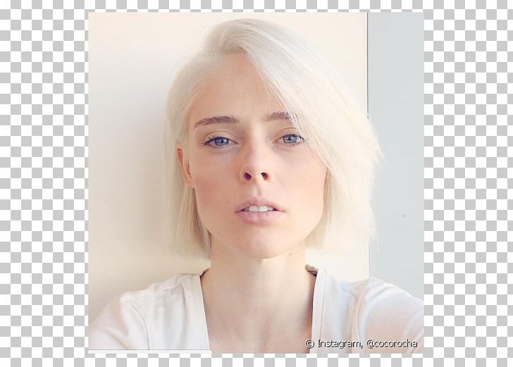 Coco Rocha Jehovah's Witnesses Świadkowie Jehowy W Rosji Bible PNG, Clipart,  Free PNG Download