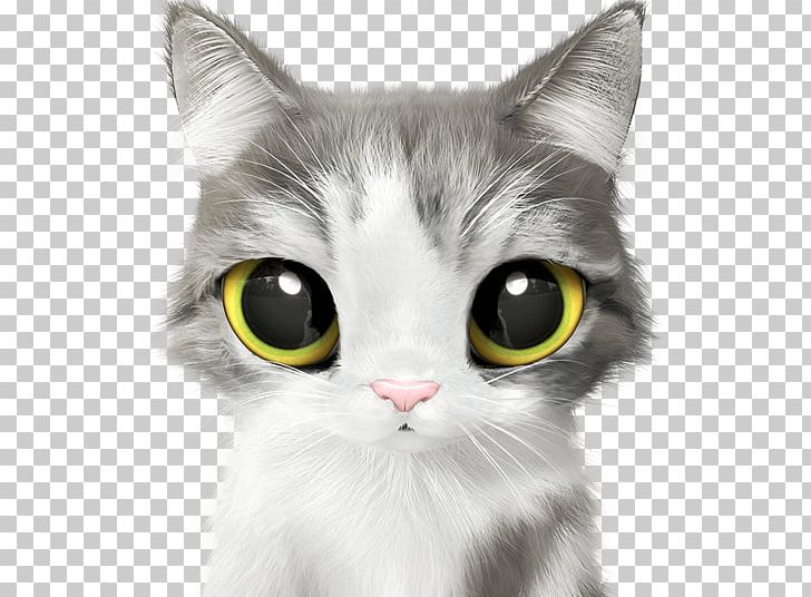 Kitten Cat Dog Cuteness Pet PNG, Clipart, American Wirehair, Animal, Black Cat, Breed, Candy Free PNG Download