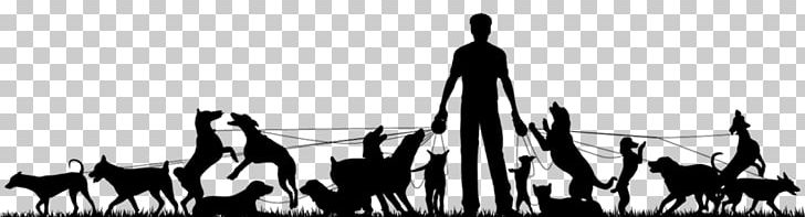 Dog Walking Pet Sitting PNG, Clipart, Animals, Black, Black And White, Brooklyn, Dog Free PNG Download