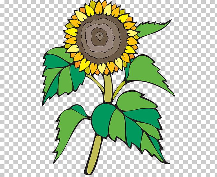 Leaf Others Sunflower PNG, Clipart, Artwork, Blog, Common Sunflower, Cut Flowers, Daisy Family Free PNG Download