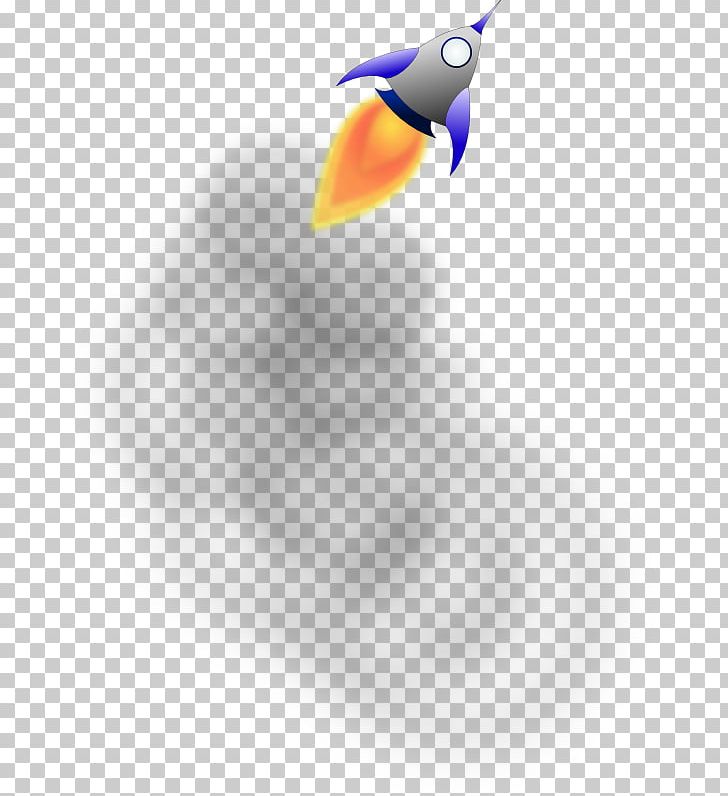 Bird Beak Toucan Desktop PNG, Clipart, Animal, Animals, Beak, Bird, Closeup Free PNG Download