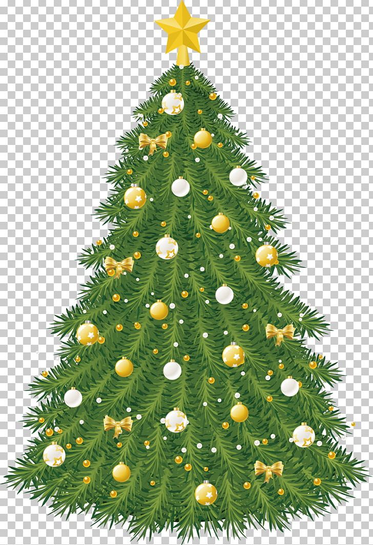 Christmas Ornament Christmas Tree PNG, Clipart, Advent, Christmas Decoration, Christmas Frame, Christmas Lights, Christmas Vector Free PNG Download