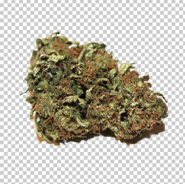 Kush Cannabis Sativa Hemp Oil Cannabidiol PNG, Clipart, Bud, Cannabidiol, Cannabis, Cannabis Sativa, Gorilla Glue 4 Free PNG Download