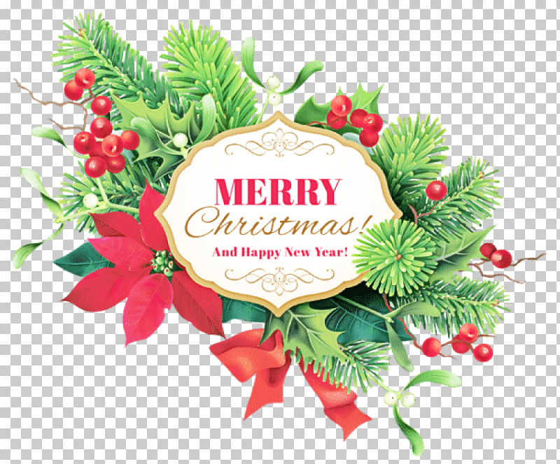 Christmas Decoration PNG, Clipart, Branch, Christmas, Christmas Decoration, Christmas Eve, Conifer Free PNG Download