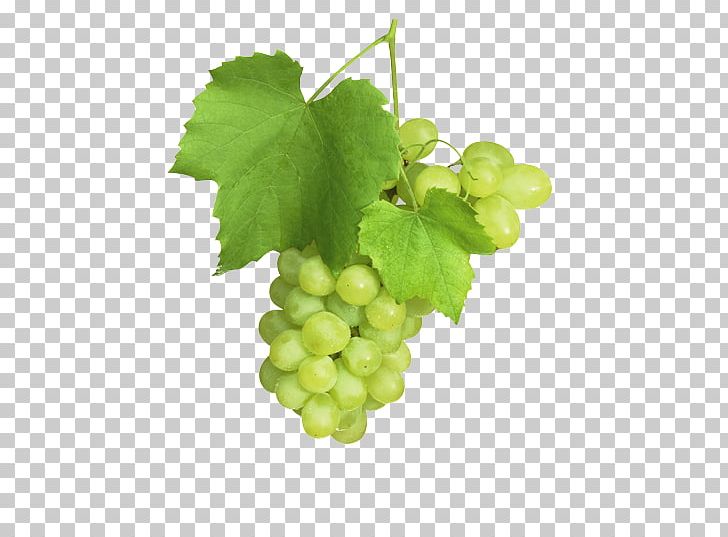 Sultana Common Grape Vine Grape Juice Fruit PNG, Clipart, Common Grape Vine, Extract, Food, Fruit, Fruit Nut Free PNG Download