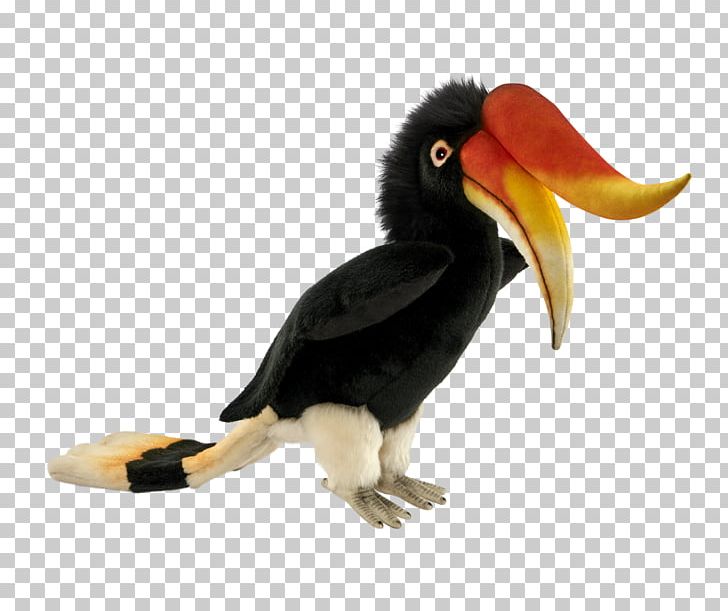 Toucan Fauna Beak Hornbill PNG, Clipart, Beak, Bird, Coraciiformes, Creation, Fauna Free PNG Download