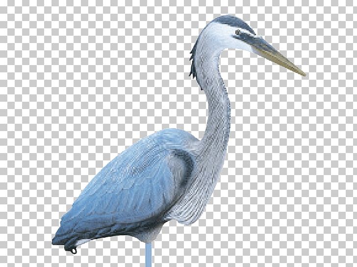 Bird Great Blue Heron Great Egret Decoy Hunting PNG, Clipart, Animals, Beak, Bird, Ciconiiformes, Crow Free PNG Download