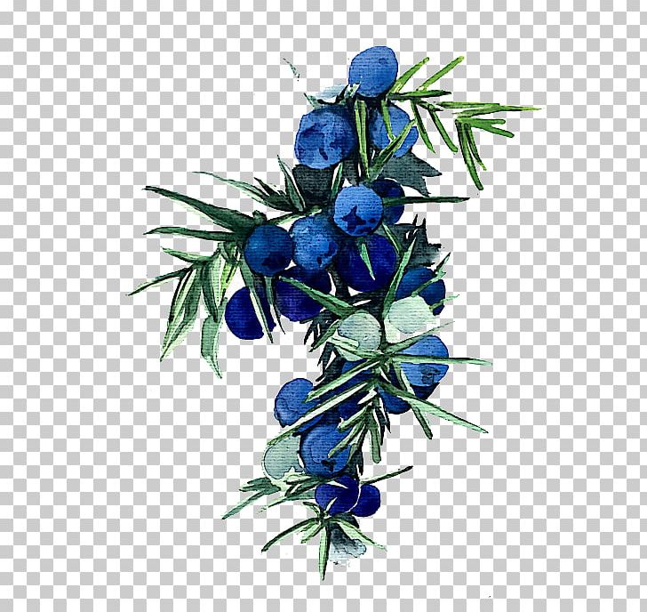 Floral Design Blueberry Watercolor Painting PNG, Clipart, Blue, Branch, Cartoon, Cut Flowers, Decorate Free PNG Download