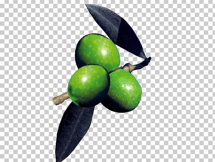 Fruit Olive PNG, Clipart, Food, Food Drinks, Fruit, Mia, Oil Free PNG Download