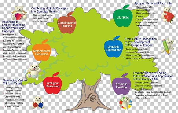 Quotient Child Tree Mathematics Theory Of Multiple Intelligences PNG, Clipart, Area, Child, Child Development, Diagram, Domain Free PNG Download