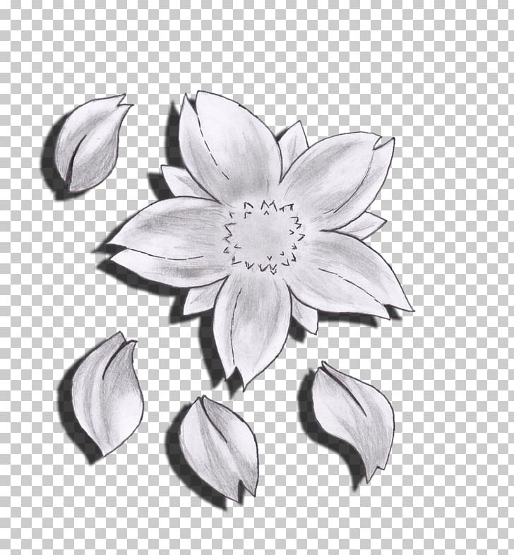 Flower Drawing Cherry Blossom Sketch PNG, Clipart, Black And White, Blossom, Body Jewelry, Cherry, Cherry Blossom Free PNG Download