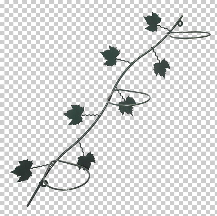 Line Flowering Plant Plant Stem Leaf Angle PNG, Clipart, Angle, Art, Black And White, Branch, Flora Free PNG Download