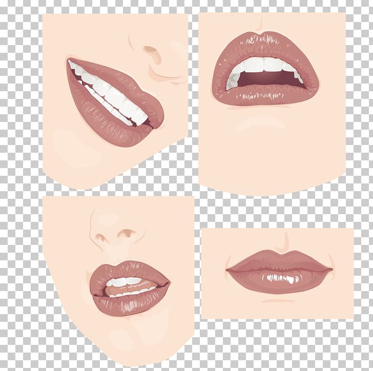 Lip Face Tooth PNG, Clipart, Adobe Illustrator, Cartoon, Cdr, Cheek, Chin Free PNG Download
