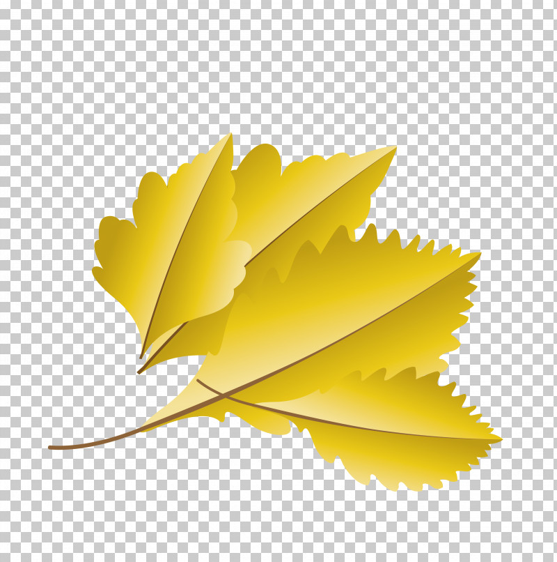 Leaf Yellow Biology Plants Science PNG, Clipart, Autumn Leaf, Biology, Cartoon Leaf, Fall Leaf, Leaf Free PNG Download