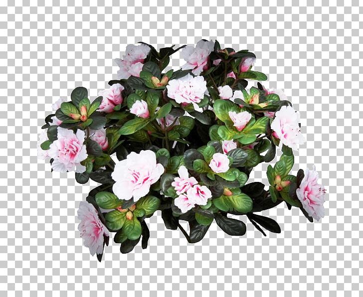 Azalea Flowerpot Houseplant Pink M Annual Plant PNG, Clipart, 30 Cm, Annual Plant, Azalea, Cicek Resimleri, Flower Free PNG Download