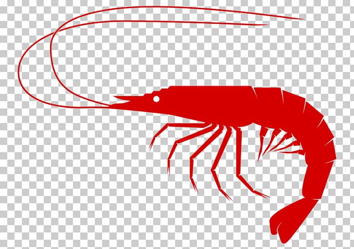 Computer Icons Shrimp PNG, Clipart, Animals, Artwork, Beak, Computer Icons, Decapoda Free PNG Download