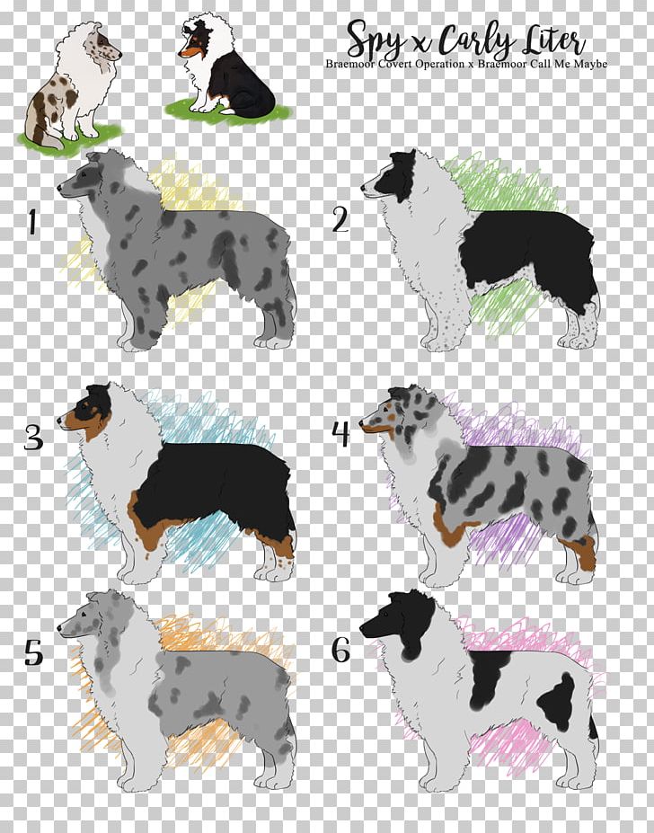 Dog Breed Border Collie Rough Collie Companion Dog PNG, Clipart, Border Collie, Breed, Carnivoran, Companion Dog, Dog Free PNG Download