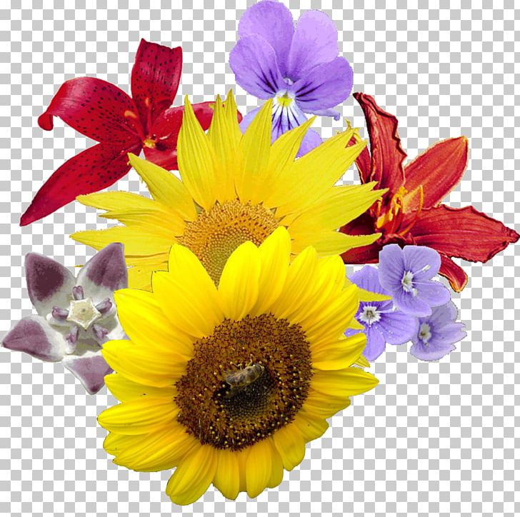 Flower Bouquet PNG, Clipart, Chrysanths, Computer Icons, Cut Flowers, Daisy, Daisy Family Free PNG Download