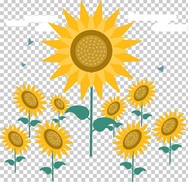 Logo PNG, Clipart, Cartesian Coordinate System, Cut Flowers, Daisy, Daisy Family, Drawing Free PNG Download