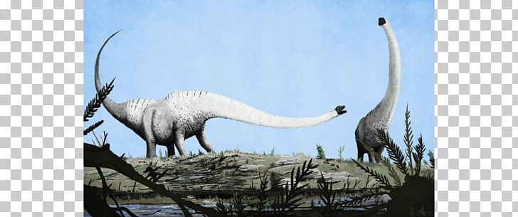 Mamenchisaurus Dinosaur Art: The World's Greatest Paleoart Pinacosaurus Apatosaurus PNG, Clipart,  Free PNG Download
