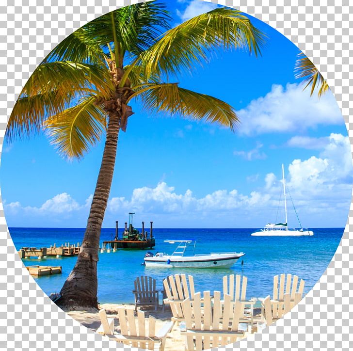 Punta Cana International Airport Bayahibe Saona Island Flight Puerto Plata PNG, Clipart, Airline, Airline Ticket, Bayahibe, Caribbean, Cheapflights Free PNG Download