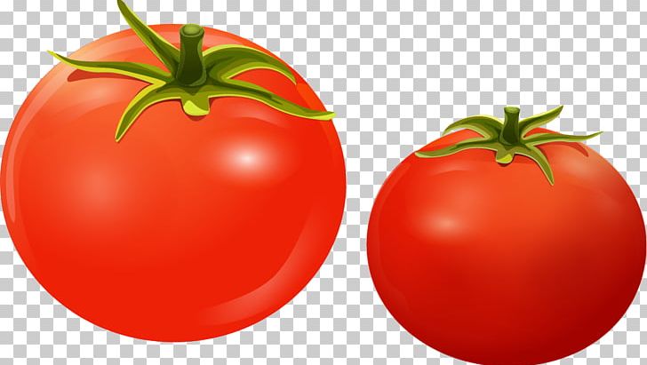 Cherry Tomato Sticker Color PNG, Clipart, Bush Tomato, Cartoon, Cherry Tomato, Color, Cuisine Free PNG Download