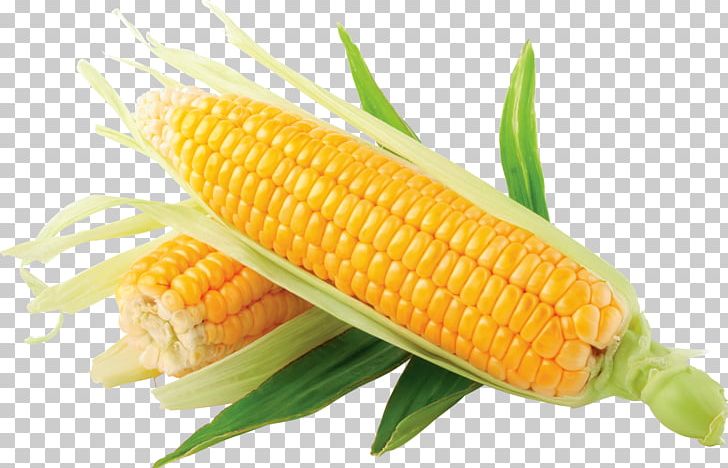 Corn On The Cob Flint Corn Sweet Corn PNG, Clipart, Art Good, Cereal, Clip Art, Commodity, Corncob Free PNG Download