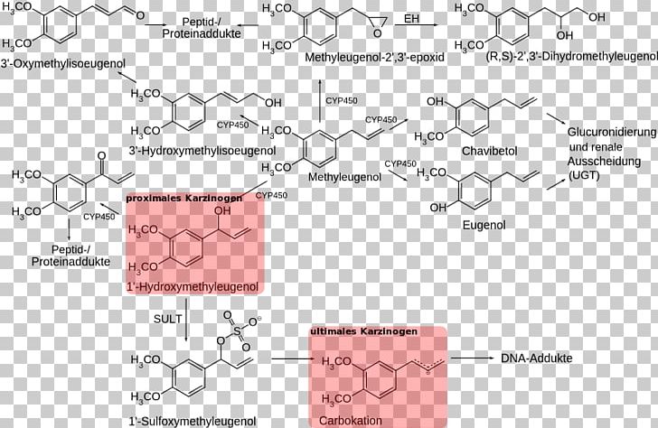 Methyl Eugenol Pimenta Racemosa Nutmeg Chavibetol PNG, Clipart, Allspice, Angle, Area, Diagram, Essential Oil Free PNG Download