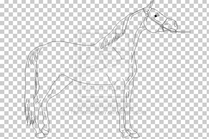 Mule Bridle Foal Stallion Colt PNG, Clipart, Arm, Artwork, Black And White, Bridle, Colt Free PNG Download