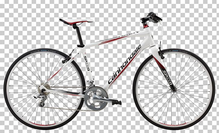 Single-speed Bicycle Racing Bicycle Fixed-gear Bicycle Road Bicycle PNG, Clipart, Bicycle, Bicycle Accessory, Bicycle Frame, Bicycle Frames, Bicycle Part Free PNG Download