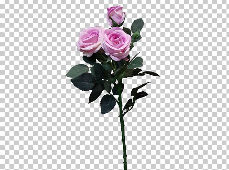 Garden Roses Centifolia Roses Floral Design Cut Flowers PNG, Clipart, Artificial Flower, Centifolia Roses, Cut Flowers, Floral Design, Floristry Free PNG Download